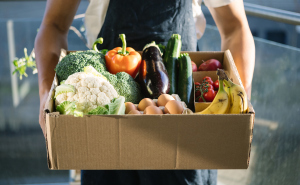 蔬菜健康咨詢服務(wù) 綠色生活的營養(yǎng)指南